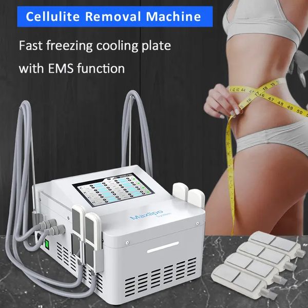 Machine amincissante de cryothérapie sans vide, portable, contour du corps, combustion des graisses, combustion de la cellulite, salon de beauté, accélération du métabolisme EMS, 4 coussinets de refroidissement