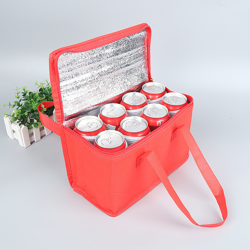 Nonwoven Can Cooler Bag Portable Ice Pack Food Packing Container Dry Ice Insulated Cooler Bags Thermal Lunch Delivery Bags