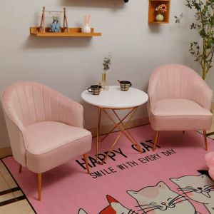 Nordic Living Room Armchair Ins Design Velvet Chair Balcony Relax Cafe Chair Modern Ergonomic Luxury Single Sofa Makeup Chair