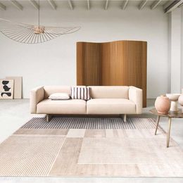 Nordic Minimalist Ins Style Carpets For Living Room Tapis doux et moelleux pour chambre à coucher un tapis de vestiaire lavable
