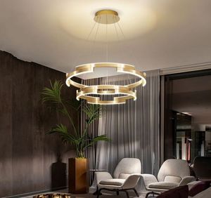 Nordic Modern Home Living Room Lamp Suspension Plume Luxury Gold Ring Pendant Light Bedroom LED LAMPARAS MINIMALISTAS LUMINARIAS