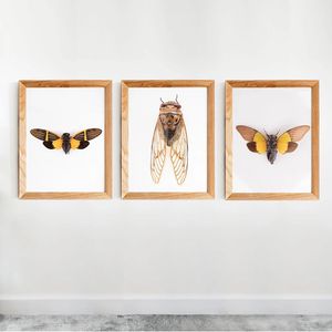 Nordic Retro Art Canvas Schilderij Vlinder Cicade Insect Evolution Poster Wall Art Pictures Prints Woonkamer Home Decoratie 240119