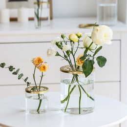 Nordic Simple Creative Home Flower Regeling Vaas Decoratieve Cup Decoratie Woonkamer Glas Plant Vazen Tafelblad Hydrocultuur 210310
