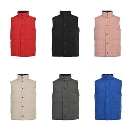 chaleco acolchado diseñador abajo gillets invierno cálido diseñador de lujo calentador de cuerpo hombres chaleco de invierno chaleco goosing abrigo exterior invierno gillets tamaño unisex s-3xl