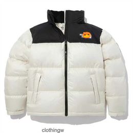 North heren pufferjack donsjassen voor heren winteruitverkoop parka's waterafstotende afwerking opbergbare capuchon 1996 Retro Nuptse 700 Fill opvouwbaar jack winter DF4V