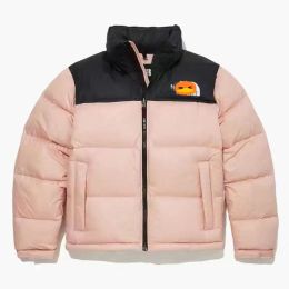 North Heren pufferjack Donsjassen voor heren Luxe winterparka's Waterafstotende afwerking Opbergbare capuchon 1996 Retro Nuptse 700 Fill Opvouwbare chique nieuwe jas