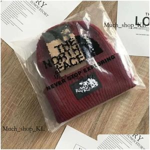 Northfacee Jas Beanie Outdoor Nieuwe Hoofddeksels Kasjmier Heren Gezichtskap Trend Explosie Wollen Muts Dames Alle Take Warm 554