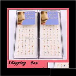 Neusringen Studs Hoop Ring 40 stks/Lot Mix 6 Kleur CZ Gem Body Sieraden Piercing Stud Gold 2uonp Drop Delivery Dh0hn