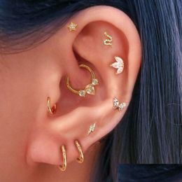 Neusringen Studs Neusringen Studs Daith RVS Hoop Piercing Oorbellen voor vrouwen Ster Tragus Helix Kwab Kraakbeen Oorring Dhrow