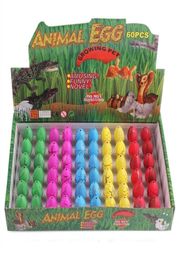 Nieuwheid Game Toy 60 Pack Dinosaur Eggs Toys Hatching Dino Egg Grow in Water Crack with Assorted Color Pool Games Water Fun6629817