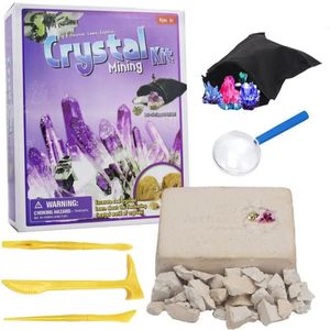 Jeux de nouveauté Jouets miniers enfants bricolage cristal archéologique Pirate trésor gemmes archéologie creuser jouet éducatif minéral pour les enfants 231129