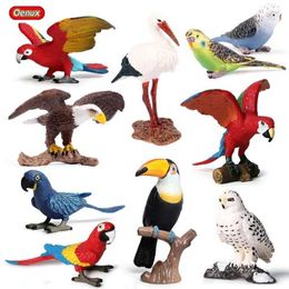 Jeux de nouveauté Oenux Original Wild Bird Animals Paradise Flamingos Macaw Sea Gull Pelican Owl Toucan Figurines PVC Action Figure miniature jouet y240521