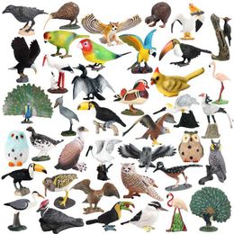 Jeux de nouveauté réalistes miniatures Forête Figurine Figurine Perrot Toucan Eagle Animaux Modèles Figures Action Enfants Enfants Collectez Toys Y240521