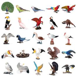 Simulation de jeux de nouveauté Figurines d'animaux d'oiseau classique Parrot Peacock Owl Hawk Model Figures Action miniatures Toys éducatifs pour enfants Y240521