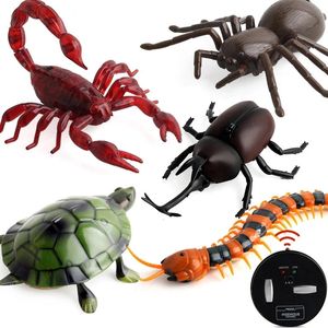 Nouveauté infrarouge RC télécommande Animal insecte jouet Kit enfant enfants adultes cafard araignée fourmi blague blagues enfants jouet 240307