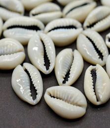 Noviteiten 100PCS Bulk Cut Sea Shell Porceleinslak Schelpen Strand DIY Sieraden Accessoires Decor LORS8897928369