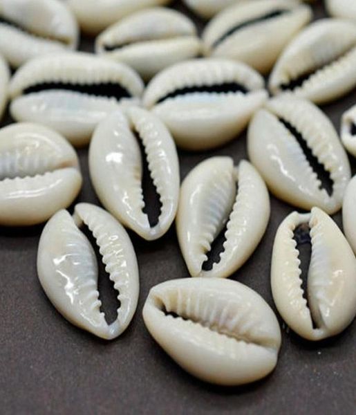 Articles de nouveauté 100 pièces, coquillages de mer coupés en vrac, coquillages de plage, bijoux à bricoler soi-même, accessoires de décoration LORS8897928369