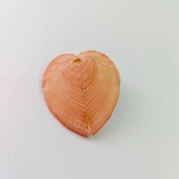Nieuwe items 5,2 cm natuurlijke schaal met een zeldzame roze hartklam
