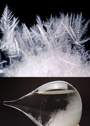 Nieuwe items voorspellen Crystal Bottle Transparant Storm Glass Crystal Tempo Water Drop Globes Creative Christmas Gifts6039764