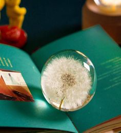 Articles de nouveauté Véritable pissenlit cristal verre résine lentille boule plantes naturelles spécimen Feng Shui fleurs noël amour cadeau maison déco6391896