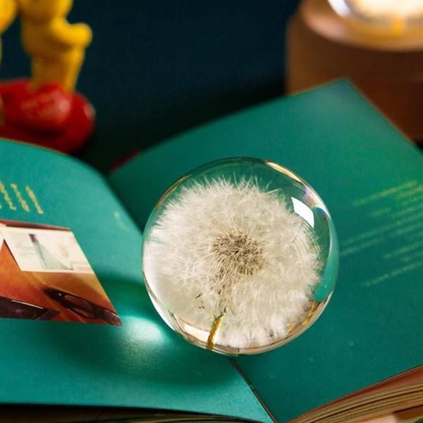 Articles de nouveauté Véritable pissenlit cristal verre résine lentille boule plantes naturelles spécimen Feng Shui fleurs noël amour cadeau maison Deco185b