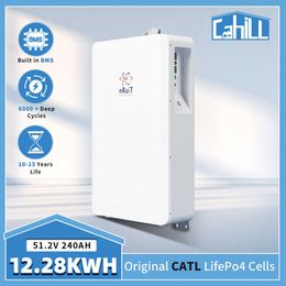 Nruit 48V LIFEPO4 Batterij Powerwall 240AH Batterij Pack voor huis op off grid 12 kW zonne -energiesysteem Lithium Battery 48V 200AH