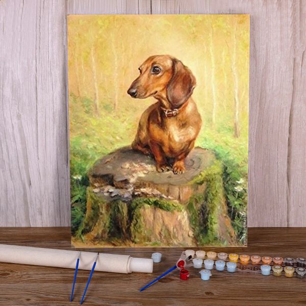 Numéro Animal Dog Dckhund DIY Paint par nombre Kit complet Kit Paignes d'huile 40 * 50 planches par nombre peintures décoratives pour le travail