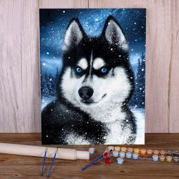 Numéro Animal Dog Husky Painting by Numbers Package Paignes d'huile 50 * 70 PEINTURE COMBA