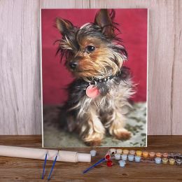 Numéro Animal Yorkshire Terrier Paint DIY By Numbers Kit Acryliques Paignes 50 * 70 Picture By Numbers Photo Home Decor Kids Drawing