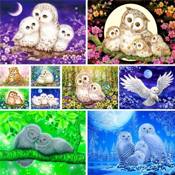 Numéro oiseau hibou coloriage par numéros peinture Kit complet peintures acryliques 40*50 toile peinture décoration murale pour enfants en gros