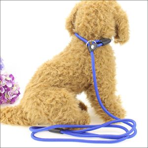 Corde de traction en nylon pour chien Laisses résistantes à l'usure douces et résistantes pour animaux de compagnie fournitures pour chiens de marche en plein air cordes 4 couleurs 135cm de longueur WLL199