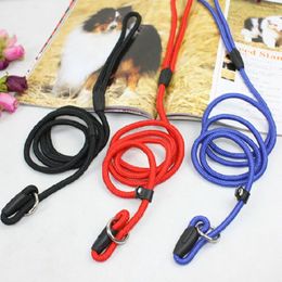 Correa de entrenamiento para perros de nailon, cadena P, Collar deslizante, cables para caminar, cuerda S M L para razas pequeñas y medianas, Chihuahua Teddy284q