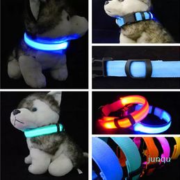 Collier de chien en Nylon LED lumière de sécurité nocturne LED clignotant lueur fournitures pour animaux de compagnie colliers de chat pour animaux de compagnie accessoires de chien pour petits chiens collier LED USB