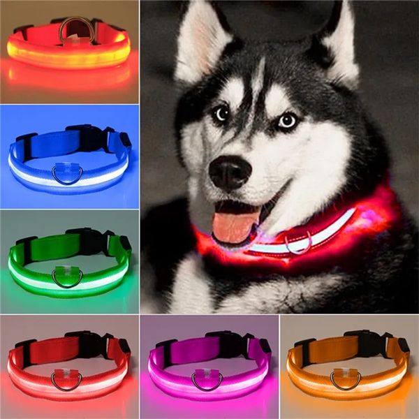 Collares de perros luminosos LED de nylon Seguridad Noche Financionista Glow Dogsh Relleno retráctil Pet Collar LED Pérdida Polsas de prueba de luz Pets T9I002619