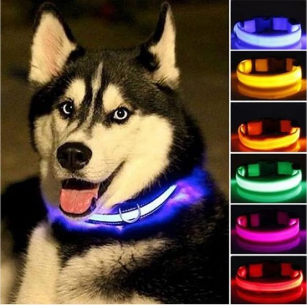Collier LED en Nylon pour chien, sécurité nocturne, clignotant, brille dans la nuit, laisse pour chien, colliers fluorescents lumineux