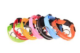 Nylon Led Pet Dog Collar Pet Dog Cat Collar Dog Leash Honden Lumineuze fluorescerende kragen huisdierbenodigdheden