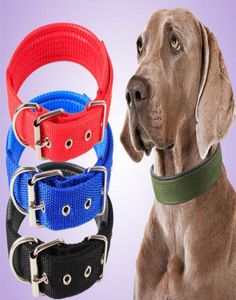 Collar de perro de nylon Pet Dog Durable Ajustable Nylon Pet Pet Puppy Cat Collar con perros con correa para perros Buckle Coloque de collar de plomo