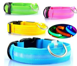 Nylon Pet LED collier de chien lumineux nuit garder chien sécurité réglable clignotant lueur LED fournitures pour animaux de compagnie en gros