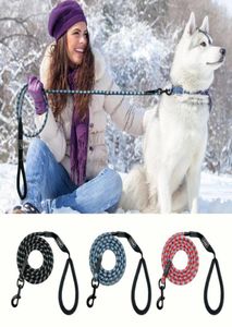 Nylon Reflective Dog Leash Pet Training Lashes Safety 6ft Long Mountain Mountain Corde Chien de chien pour les petits chiens moyens Q190433090039