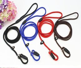 Corde en nylon pour chien, chuchoteur, style Cesar Millan, laisse d'entraînement antidérapante, laisse et collier, rouge, bleu, noir, couleurs 3398861