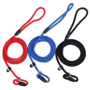 Corde en nylon pour chien, chuchoteur, style Cesar Millan, laisse d'entraînement antidérapante, laisse et collier, couleurs rouge bleu noir