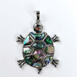 Ocean Themed Sieraden Paua Abalone Shell Turtle Hanger Beach Geïnspireerd sieraden voor vrouwen Mannen 5 stuks