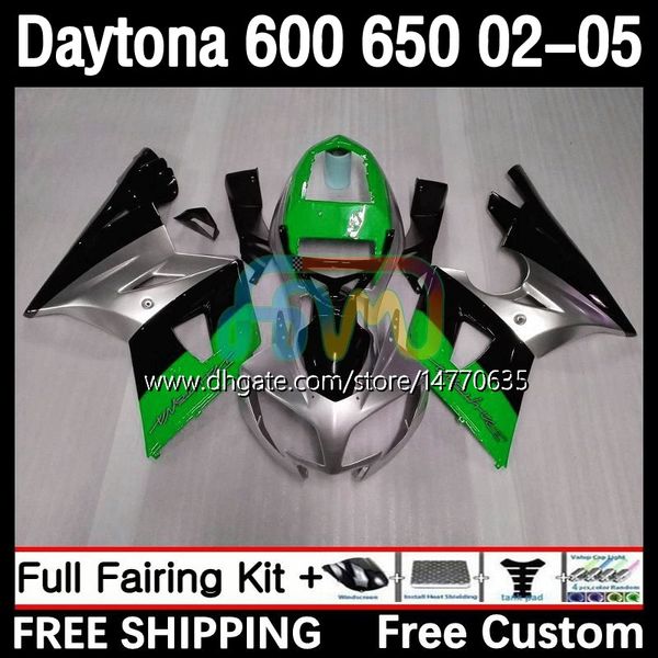 Corps OEM pour Daytona650 Daytona600 2002-2005 Carrosserie 7DH.121 Daytona 650 600 CC 600CC 650CC 02 03 04 05 Daytona 600 2002 2003 2004 2005 Kit de carénage ABS vert argent