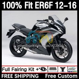 Corps OEM pour KAWASAKI NINJA 650R 650 R ER6 F ER 6F 2012-2016 Carrosserie 11DH.16 ER-6F ER6F 12 13 14 15 16 650-R 2012 2013 2014 2015 2016 Kit de carénage de moulage par injection gris argent