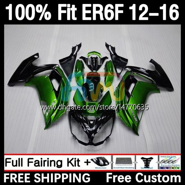 Cuerpo OEM para KAWASAKI NINJA 650R 650 R ER6 F ER 6F 2012-2016 Carrocería 11DH.10 ER-6F ER6F 12 13 14 15 16 650-R 2012 2013 2014 2015 2016 Kit de carenado de molde de inyección verde de fábrica