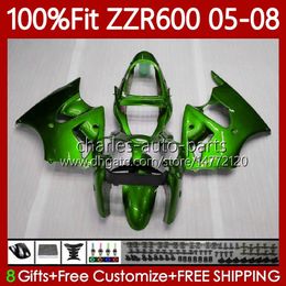 Molde de inyección de cuerpo OEM para KAWASAKI NINJA ZZR600 05-08 ZX ZZR-600 600 CC 05 06 07 08 Carenado 134No.208 100% Fit ZZR 600 600CC Verde brillante 2005 2006 2007 2008 Kit de carenado