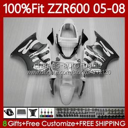 Molde de inyección de cuerpo OEM para KAWASAKI NINJA ZZR600 Gris blanco 05-08 ZX ZZR-600 600 CC 05 06 07 08 Carenado 134No.229 100% Fit ZZR 600 600CC 2005 2006 2007 2008 Kit de carenado