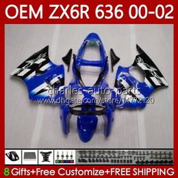 Kit de carrocería OEM para KAWASAKI NINJA Blanco azul ZX-6R ZX-636 ZX-600 ZX 6R 600 CC 6 R ZX6R 00 01 02 133No.213 ZX 636 600CC ZX636 2000 2001 2002 ZX600 2000-2002 Carenado de inyección