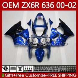 Kit de carrosserie OEM pour KAWASAKI NINJA ZX-6R ZX-636 ZX-600 ZX 6R 600 CC 6 R ZX6R Flammes bleues 00 01 02 133No.231 ZX 636 600CC ZX636 2000 2001 2002 ZX600 2000-2002 Carénage d'injection