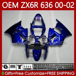 Carrocería OEM para KAWASAKI NINJA ZX-6R ZX-636 ZX-600 ZX 6R 600 CC 6 R 2000-2002 Azul brillante 133No.209 ZX 636 600CC ZX636 ZX6R 00 01 02 ZX600 2000 2001 2002 Carenado de inyección